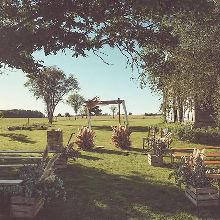 Beaulieu-sur-LoireDomaine Des Medardsアパートメント エクステリア 写真
