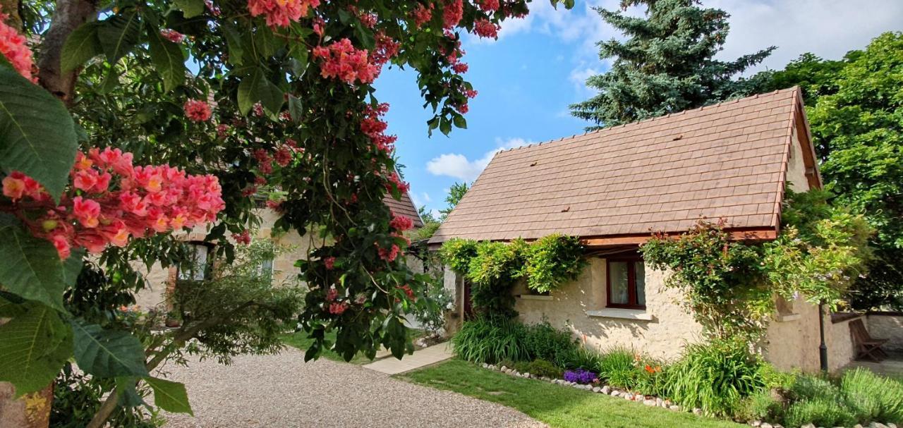 Beaulieu-sur-LoireDomaine Des Medardsアパートメント エクステリア 写真